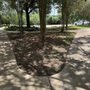 Photo of Meadow Lake Park