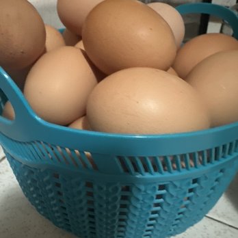 Billy's Egg Farm - Jumbo extra large - Specialty Food Near Me - Chino, California