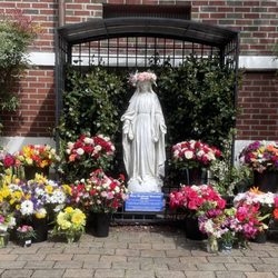 St. Anthony School - Mary U Garden at St. Anthony