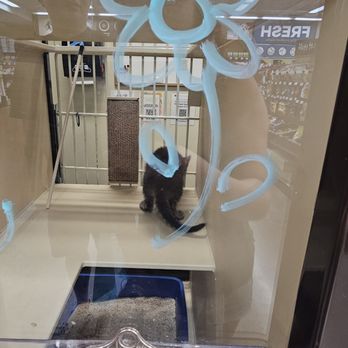 Pet Food Express - Pet Stores Near Me - Pasadena, California Pet Food Express - Pet Stores Near Me - Pasadena, California