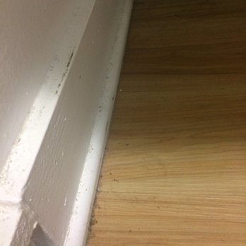Wave House Cleaning - areas of floor left unclean after service - Home Cleaning Near Me Wave House Cleaning - areas of floor left unclean after service - Home Cleaning Near Me