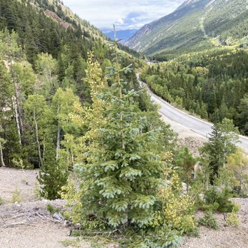 Guanella Pass - Historical Tours Near Me