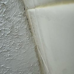 BBH Remediation - Crack where the ceiling meats the wall in the shower. Moister can leak through the crack.