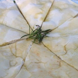 La Gritta