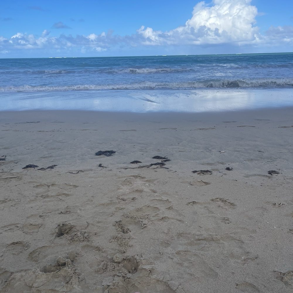 Beginner’s Beach - Beach - Beaches Near Me - Carolina, Puerto Rico