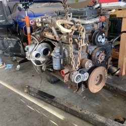 Driven Performance Auto Group