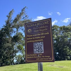 Tantalus Lookout - You can pay for parking by scanning the QR code, it was 7$ for us non residents
