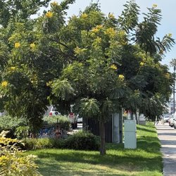 Arlington Gardens Care Center - Outside of the facility (sidewalk)