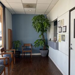 Michael L Chan, DDS