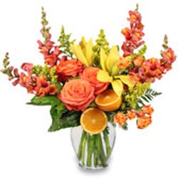 K LeShae's Florist & Gift Boutique