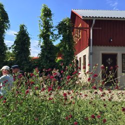 Ändebols Gård