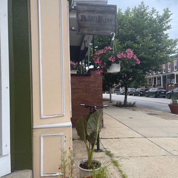 B Willow - Nurseries & Gardening Near Me - Baltimore, Maryland