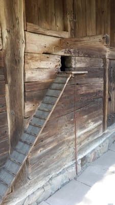 Black Forest Open Air Museum by null