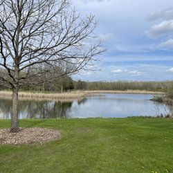 Half Day Forest Preserve - Pond and tree