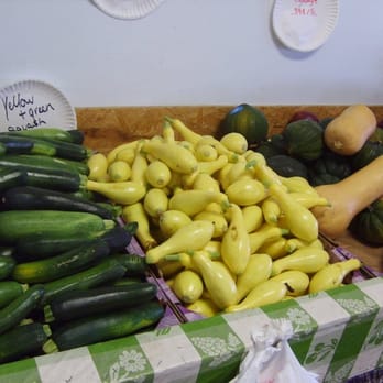 Baker's Family Market - Beautiful fresh locally grown squash. - Farmers Market Near Me - Interlachen, Florida Baker's Family Market - Beautiful fresh locally grown squash. - Farmers Market Near Me - Interlachen, Florida