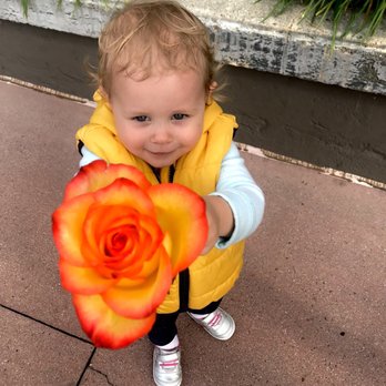 Flowers 'a La Carte - Florists Near Me - San Diego, California