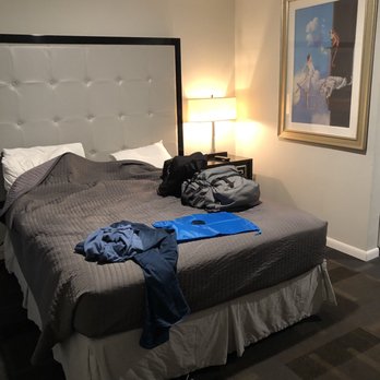 Hotel Royal Oak - Welcoming room, variety of lighting. Great Bed, restful. Love the art prints. Room to hang up clothes - Hotels Near Me - Royal Oak, Michigan