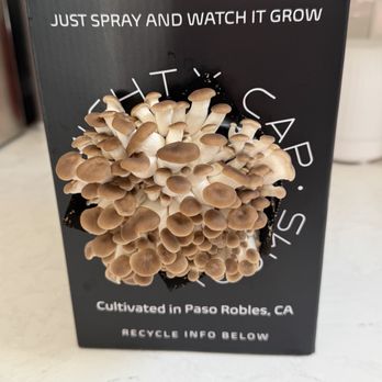 Mighty Cap Mushrooms - Specialty Food Near Me - Paso Robles, California Mighty Cap Mushrooms - Specialty Food Near Me - Paso Robles, California