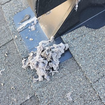 Lucky Handles Dryer Vent Cleaning - Air Duct Cleaning Near Me - Milton, Florida Lucky Handles Dryer Vent Cleaning - Air Duct Cleaning Near Me - Milton, Florida