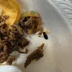 Pollo Regio - Carne Asada Lb