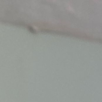 C&N Construction - Ceiling damage. - Roofing Near Me - Hillside, Illinois