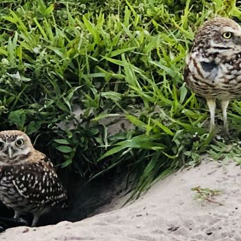 Seminole Park - Parks Near Me - Plantation, Florida