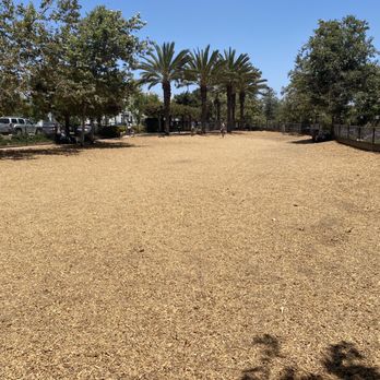 Oberrieder Dog Park - Nice big area - Dog Parks Near Me - Playa Vista, California Oberrieder Dog Park - Nice big area - Dog Parks Near Me - Playa Vista, California