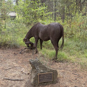 High Desert Museum - Statue made from old barbed wire, excellent! - Museums Near Me - Bend, Oregon
