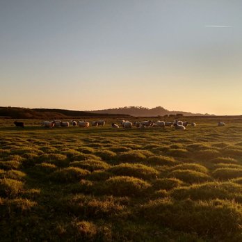 Mission Ranch - Venues & Event Spaces Near Me - Carmel, California Mission Ranch - Venues & Event Spaces Near Me - Carmel, California
