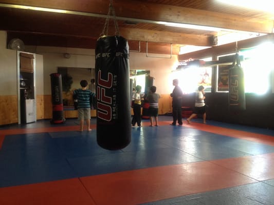 Fight Team Delima Jiu Jitsu gym photo