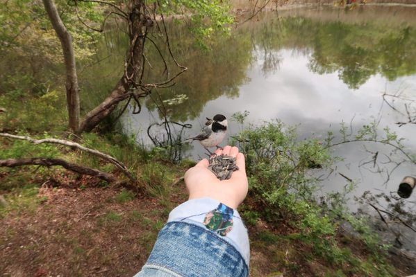 Elizabeth A. Morton National Wildlife Refuge by null