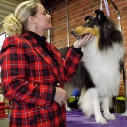 Beauty N the Beast - Showing my Collie, "Pancho"