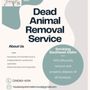 Photo of HaulAway Animal Removal
