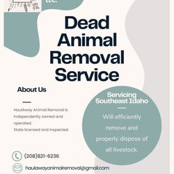 HaulAway Animal Removal