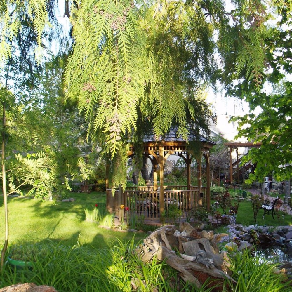Dream Inn - Bed & Breakfast Near Me - Mount Shasta, California Dream Inn - Bed & Breakfast Near Me - Mount Shasta, California