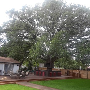 Toddy Oaks - Toddy oak - Bars Near Me - Katy, Texas
