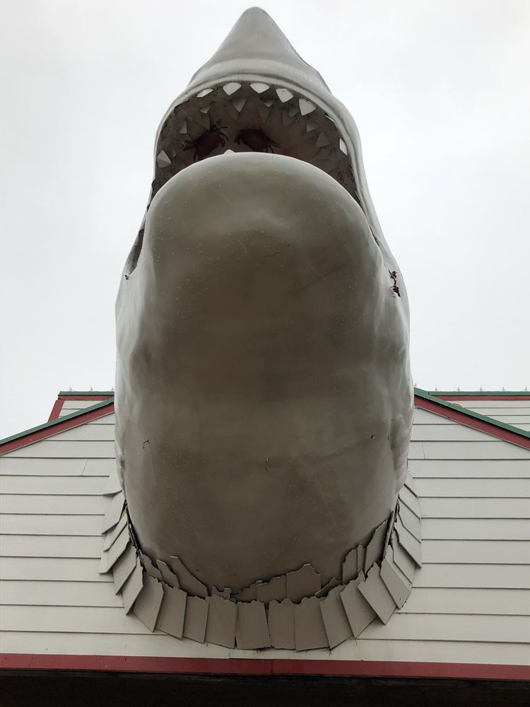 JOE’S CRAB SHACK 135 Photos & 138 Reviews 635 Boardwalk Blvd