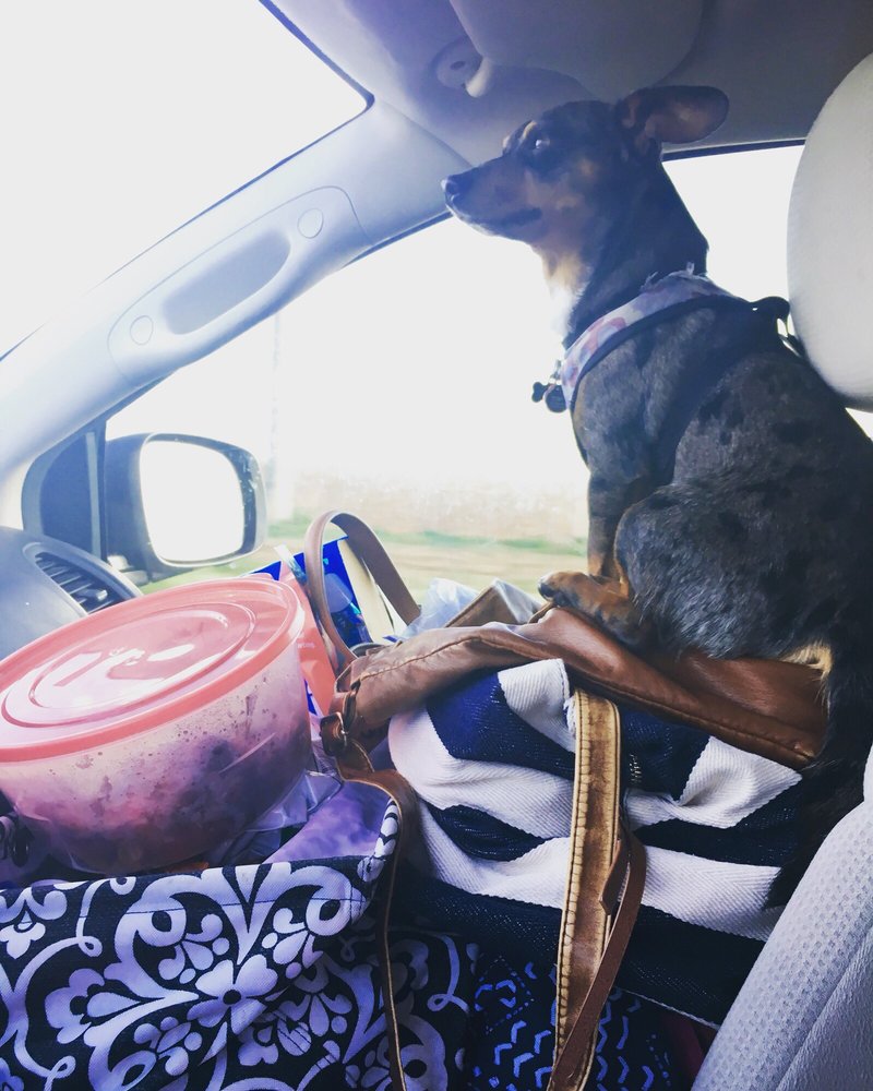 GREASE MONKEY Updated September 2024 62 Reviews 1362 Timpanogos