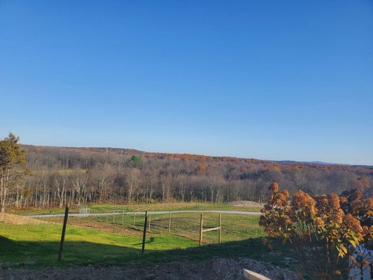 Milea Estate Vineyard by null