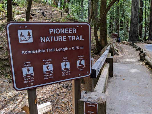 Armstrong Redwoods State Natural Reserve by null
