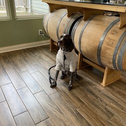 Carriage House Vineyards - Friendly dogs dog friendly