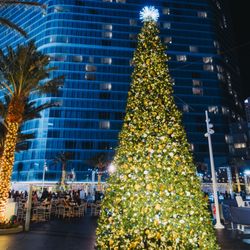 Oasis Ice Rink at Fontainebleau