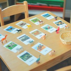 Stepping Stones Home Montessori and Daycare