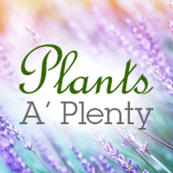 Plants A Plenty - Nurseries & Gardening Near Me - Enid, Oklahoma Plants A Plenty - Nurseries & Gardening Near Me - Enid, Oklahoma