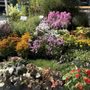 Photo of Kouter Bloemenmarkt