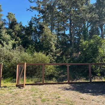 Certified Tree Service - Before - Tree Services Near Me - san jose, California