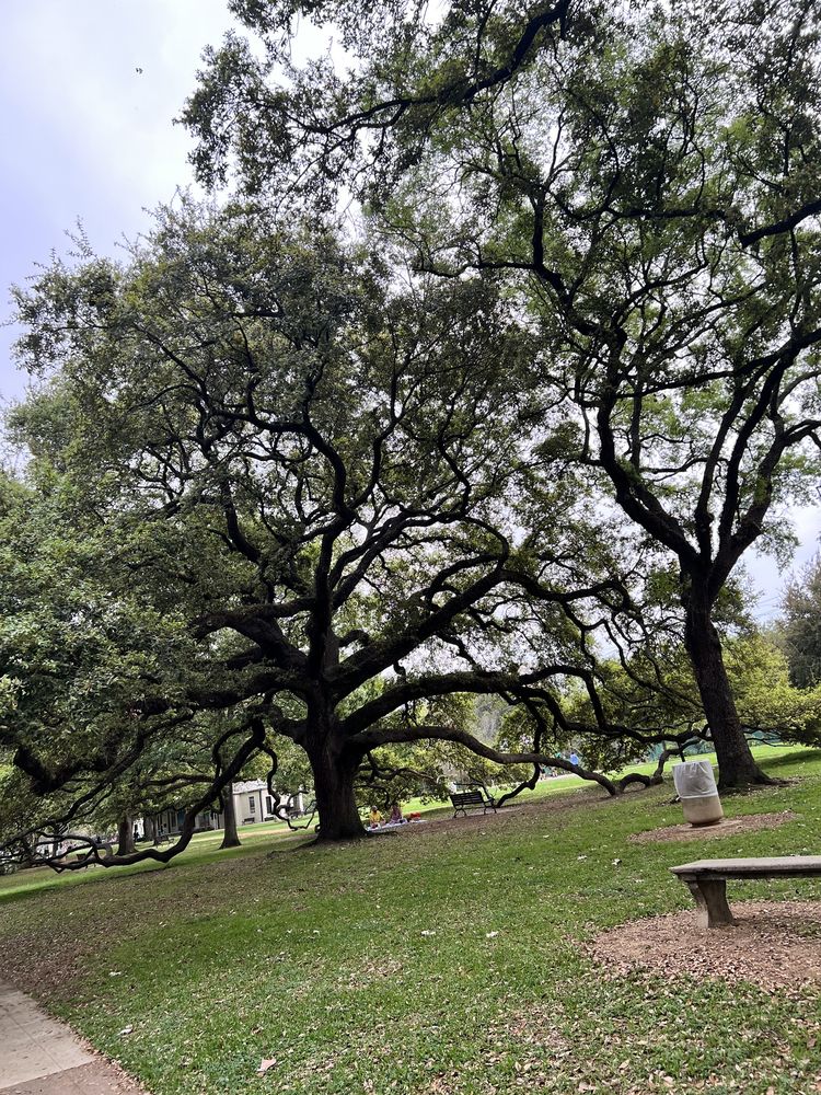 River Oaks Park