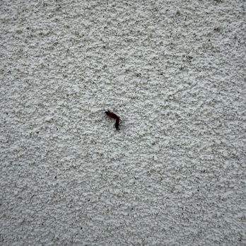 AB Pest Control - Pest Control Near Me - Bakersfield, California