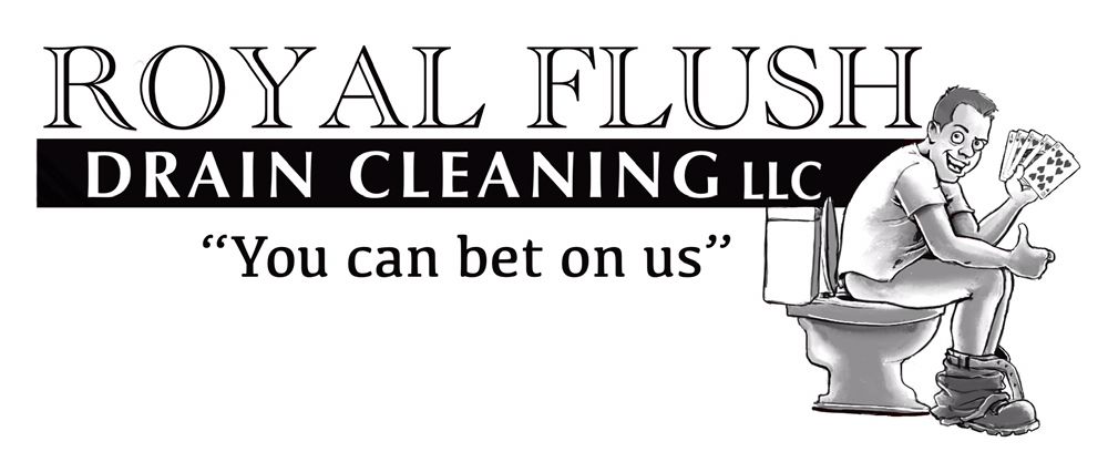 Slide of Royal Flush Drain Cleaning