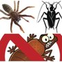 Photo of Wild West Pest Management